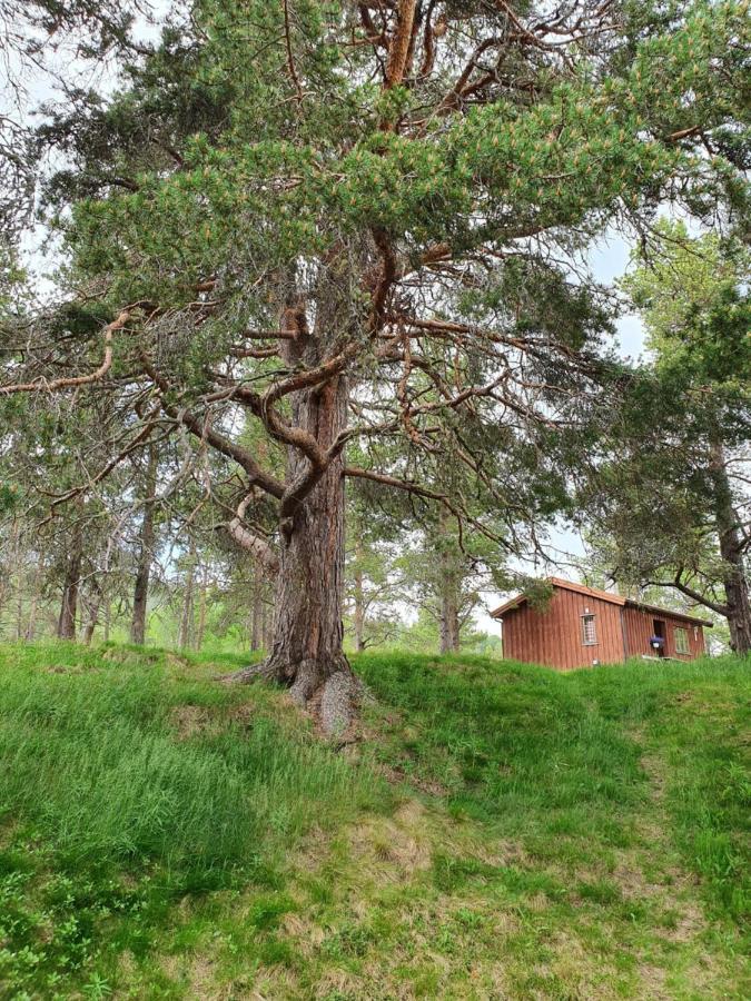 Borkhushyttene Villa Rundtom Exterior photo